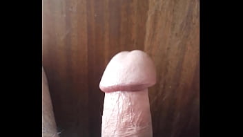 Pene verga pico